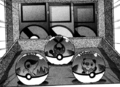 Unova initial Pokémon balls in Pokémon Adventures