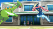 XY119.png