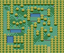 Berry Forest - Bulbapedia, the community-driven Pokémon encyclopedia