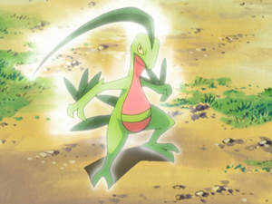 Ash Grovyle Evolution Aura.png