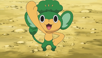 Cilan's Pansage