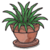 DW Spiky Plant.png