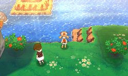 Extremely harsh sunlight Field ORAS.png