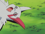 North Petalburg Zangoose.png