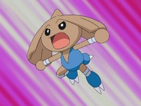 Terri's Hitmontop