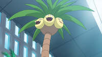Aether Paradise Exeggutor.png