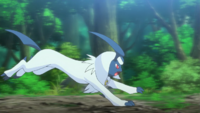 Astrid's Absol