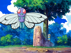 Fennel Valley Butterfree.png