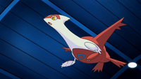 Ash's Latias