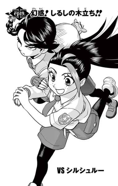 File:PASV19.png