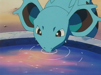 Temacu's Nidorina