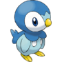 Piplup, the Water-type Pokémon!