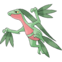 253Grovyle.png