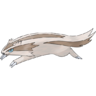 0264Linoone.png