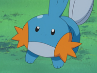 Brock's Mudkip