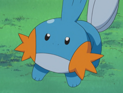 Mudkip (Pokémon) - Bulbapedia, the community-driven Pokémon encyclopedia