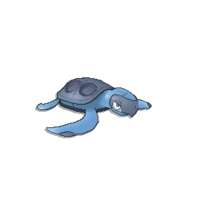 Pokédex Image Tirtouga SM.png