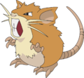 020Raticate AG anime.png