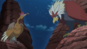 Clawmark Hill Fearow Braviary.png