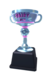 Duel Trophy Fairy Silver.png