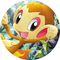 Chimchar (profile icon)