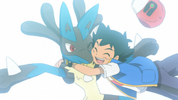 Pokémon Club - Fact : Riolu is Ash's first ever baby Pokemon. Baby Pokemon  were first introduced in Gen 2 back in 1999