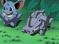 Baby Nidoqueen and Baby Rhyhorn born from clones