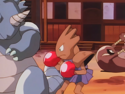 Dark City Hitmonchan Rhydon.png