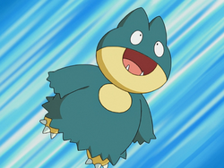 May (anime) - Bulbapedia, the community-driven Pokémon encyclopedia, hoenn  pokedex bulbapedia 