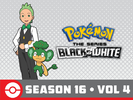 Pokémon BW S16 Vol 4 Amazon.png