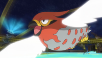 Ash Talonflame Steel Wing.png