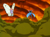 Brock Zubat Whirlwind.png