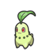 Chikorita