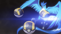 Red's Articuno