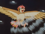 Ash Pidgeotto Whirlwind.png