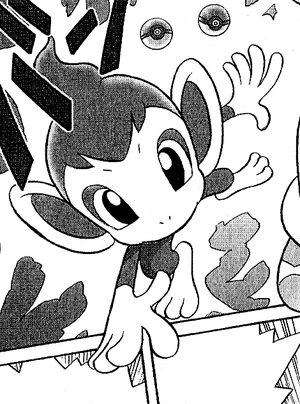 Barry Chimchar PDPV.png