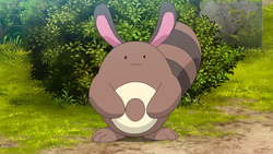 Sentret  Pokédex