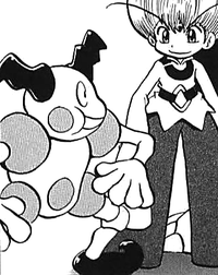 Pokémon Adventures: Emerald Archives - MangaMavericks.com