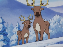 Snowtop Mountain Stantler.png