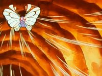 Ash Butterfree Whirlwind.png
