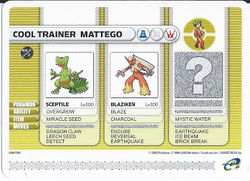Cool Trainer Mattego Battle e.jpg