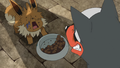 Where Are You Going Eevee 1.png