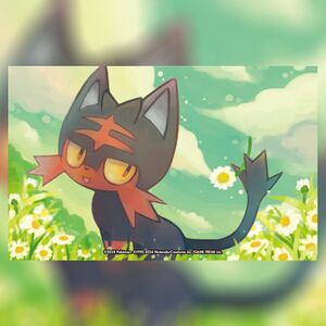 Art Life 20240222 Litten.jpg