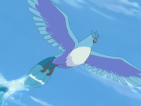 Noland's Articuno