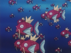 Rind Island Magikarp.png