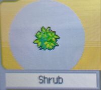 Shrub (Pokemon Ranger).jpg