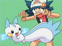 Pachirisu (Pokémon) - Bulbapedia, the community-driven Pokémon encyclopedia