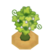 MagostTreeBuddingVI XY.png