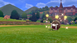 Shiny Star Wooloo SWSH.png
