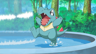 Ash Totodile.png